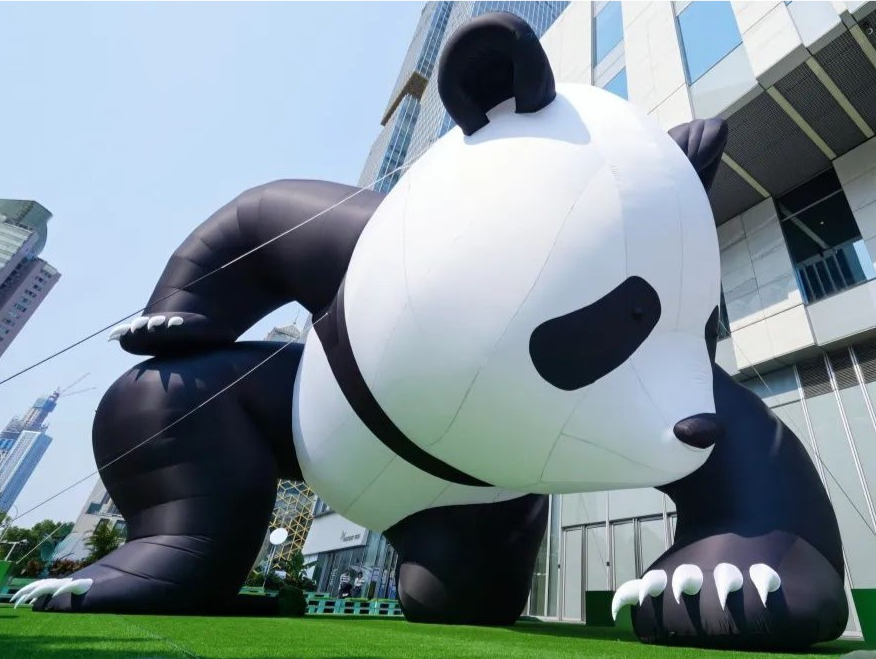 深圳艺术周丨人生建议！深圳限定版“熊猫走廊” 来了，速来出片→