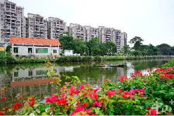 三年治水攻坚，中山绘就水清岸绿新画卷 | 百名干部群众话治水
