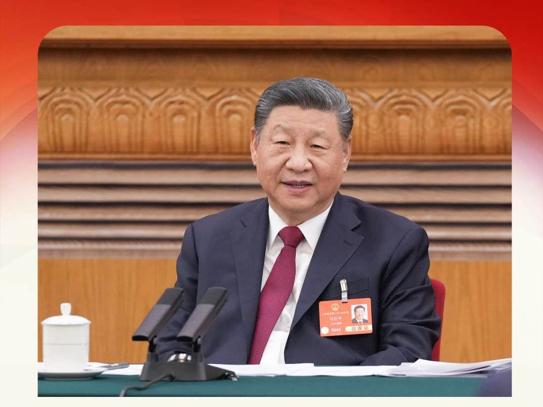 习近平两会时刻丨小社区里的“国之大者”