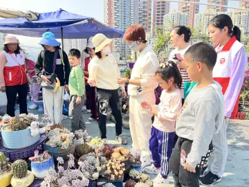 民新社区开展亲子家庭多肉植物自然探秘之旅