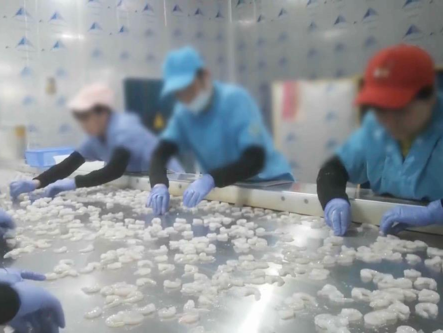 3·15晚会丨“保水虾仁”浮出水面！1斤虾仁7两冰！