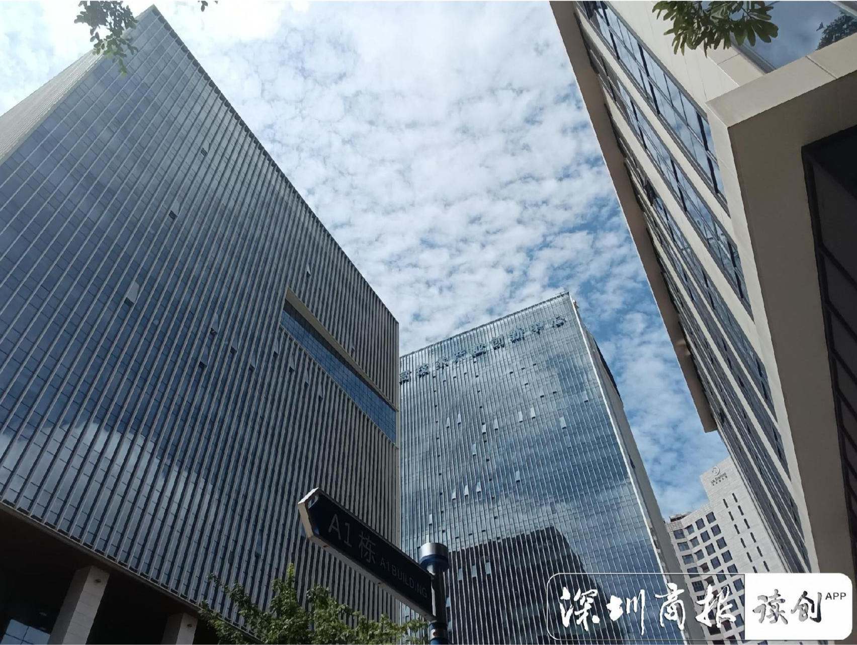 深圳优选24个“高含金量”项目向民资开放，让民企真正能投、愿投、敢投