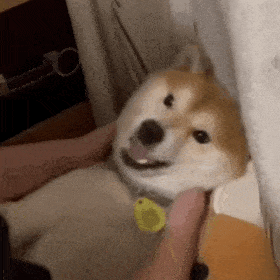深圳交通_20250310_112852.gif