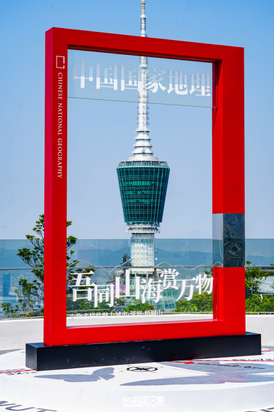 DSC03719.png