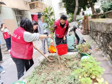 红村社区开展植树节主题志愿者活动