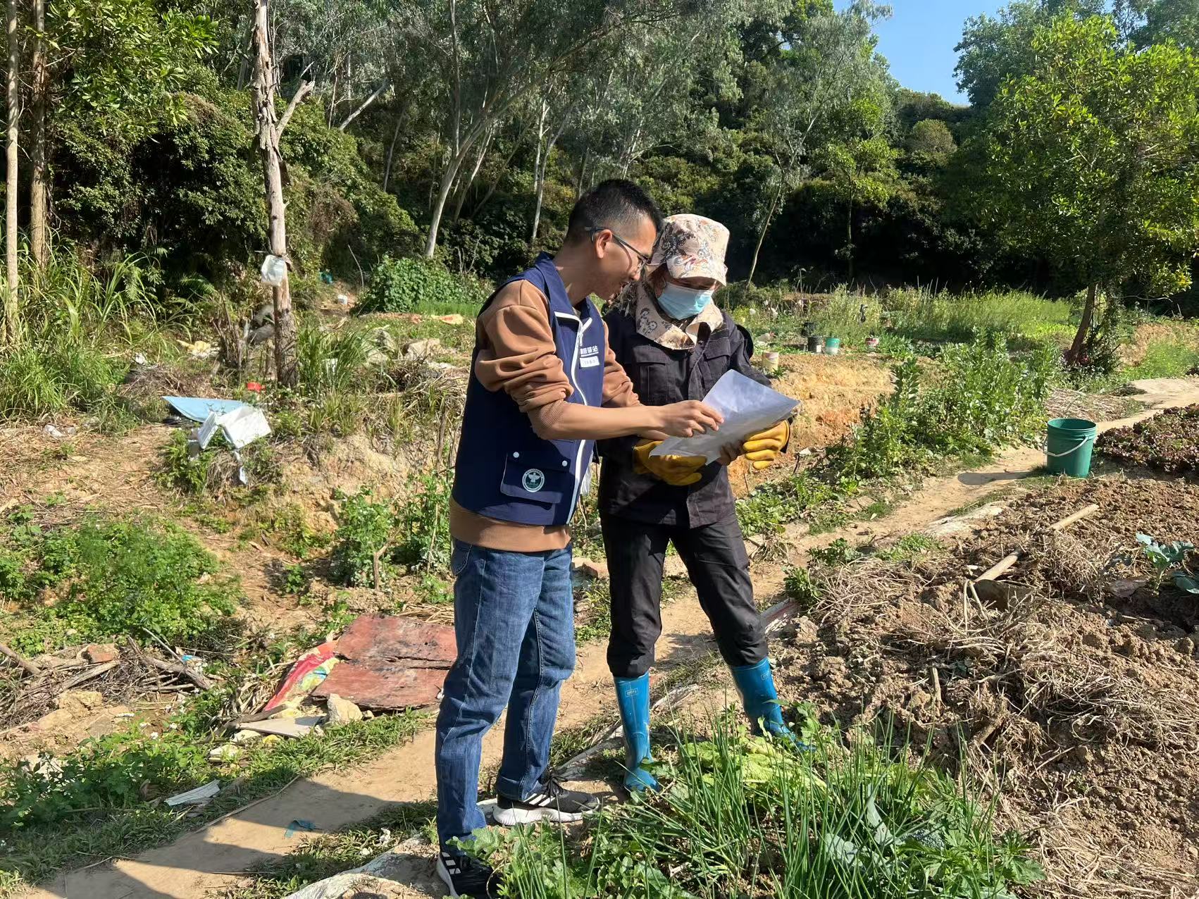 碧岭街道：开展禁种铲毒踏查行动，筑牢禁毒防线