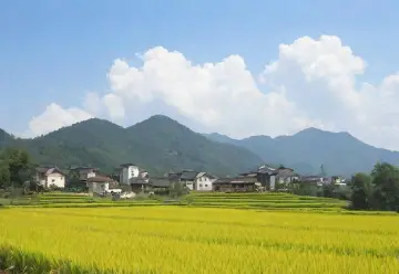 独立思考湘南行之感怀