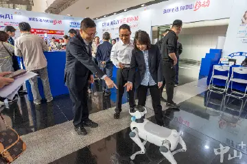 多重优惠引爆消费热潮，市民周末可到中山博览中心买买买