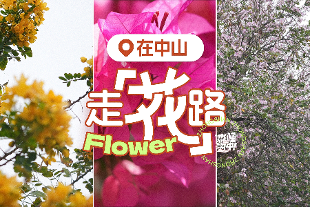 在中山，走“花”路 | “淼”懂深中