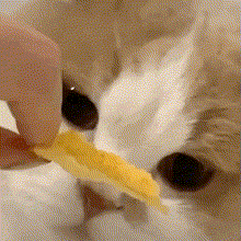 098107C6.gif