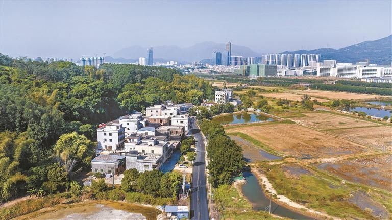“幸福路”修到家门口 新农村迎来新商机