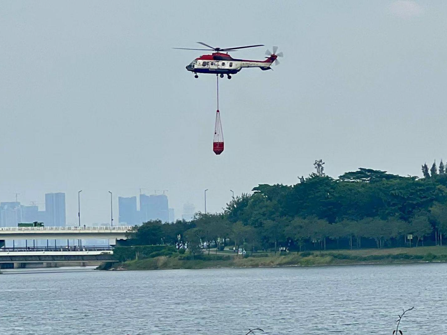 罗湖区人大代表池千艳：推动低空经济与旅游、物流、应急救援等融合发展｜聚焦2025罗湖区两会
