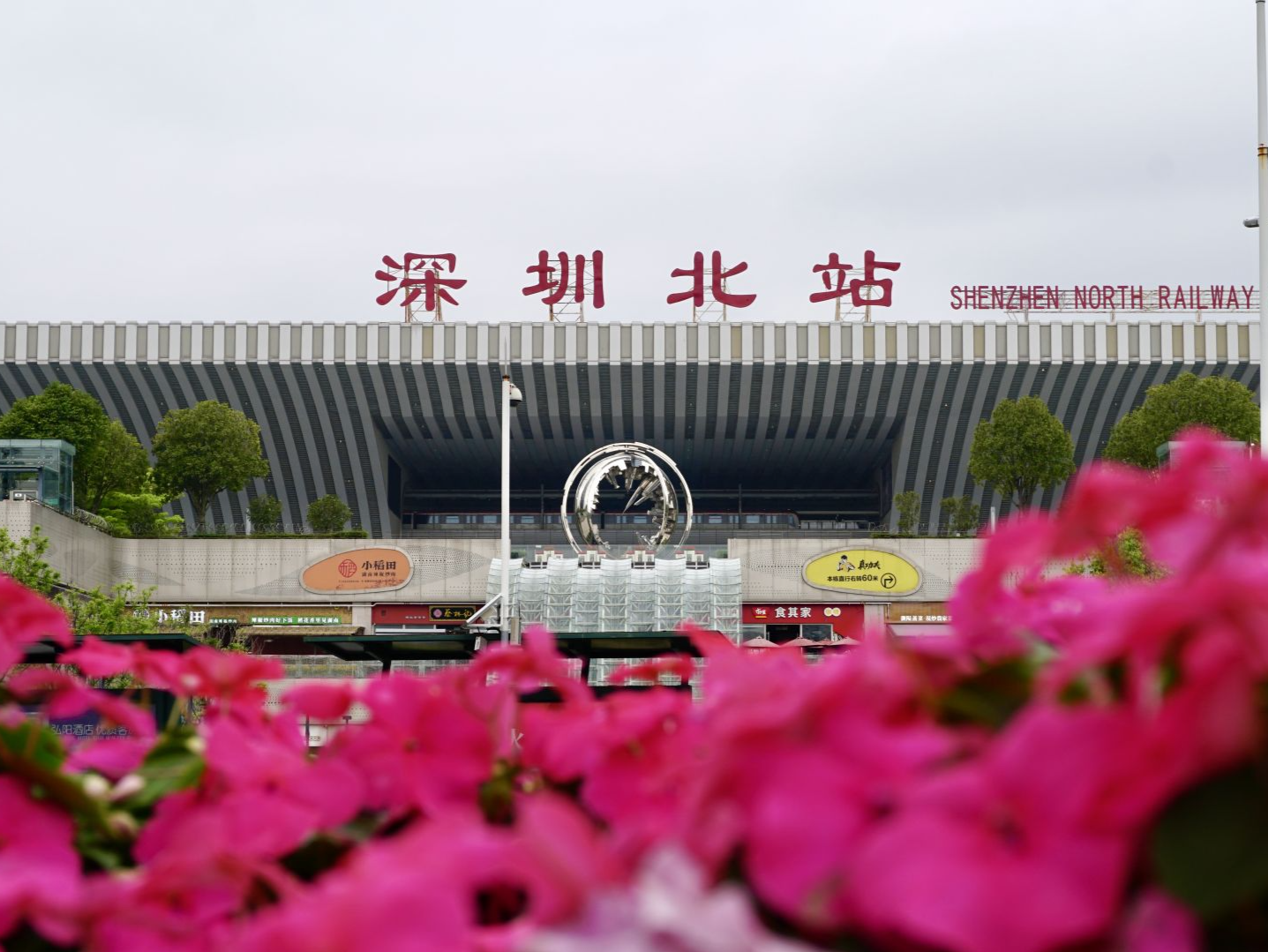 “铁路+文旅”铺就深圳春日赏花通途  3月以来深圳铁路日均到达14万人次