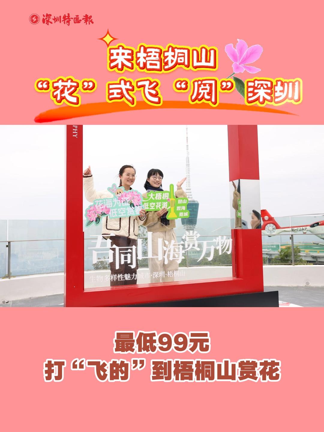 来梧桐山“花”式飞“阅”深圳