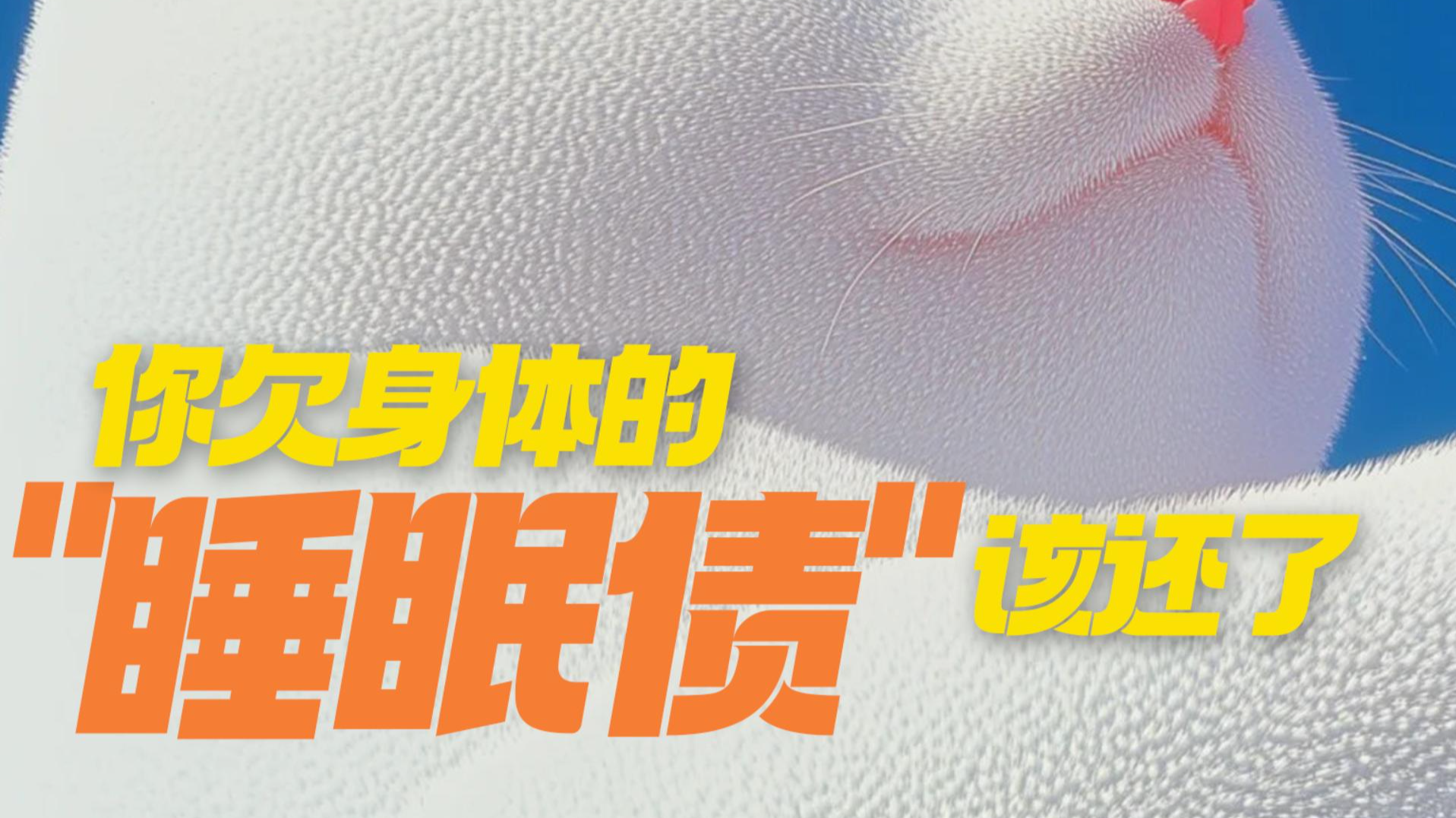 睡了吗？你欠身体的“睡眠债”该还啦