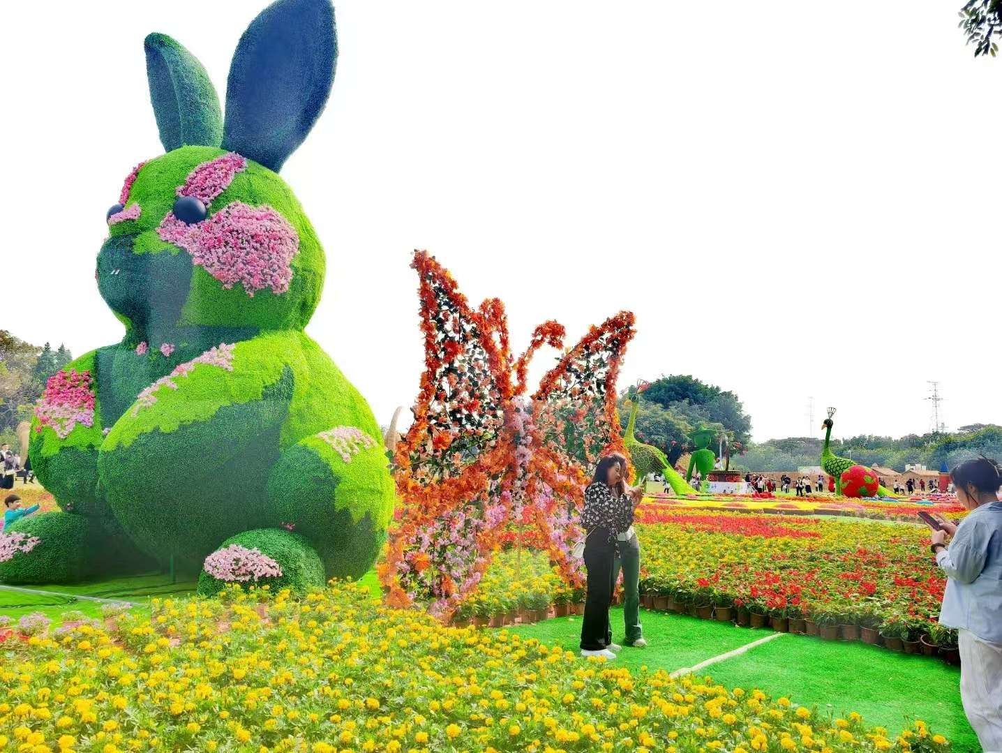 好看又好玩，海上田园首届稻草人王国来了​