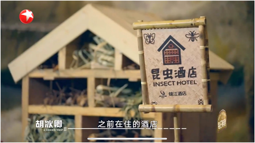胡歌、陈龙变身“昆虫酒店建筑师”，与锦江一起倡导可持续旅宿  