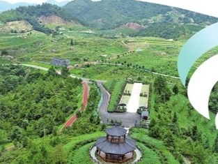 一诺甲子护清源——东江源头寻乌县生态守护纪实