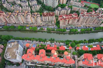 绘就绿美画卷！中山开启美丽河湖保护与建设新征程 | 治水攻坚三周年