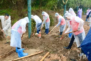 共建“绿美中山”！100多名侨界群众种下“侨爱林”“侨青林”