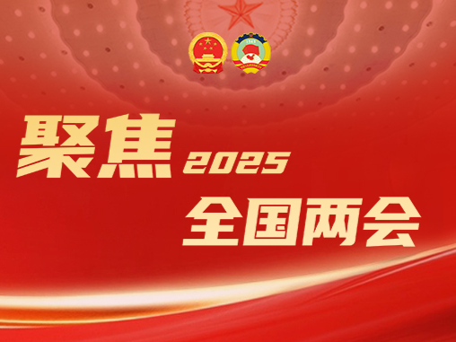 山海携手共绘振兴蓝图！代表委员点赞深圳对口支援和帮扶协作工作 | 聚焦2025全国两会