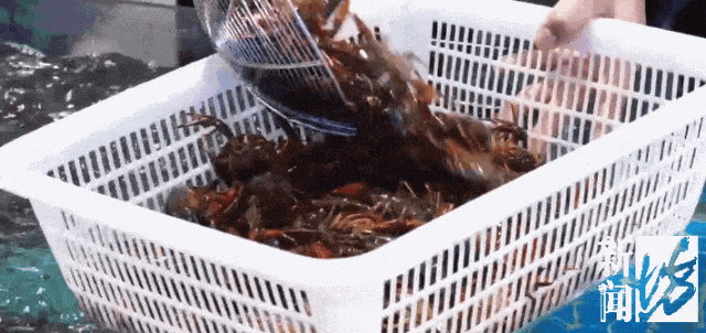 3b2b098ff29a6d898b61908f19556402_640_wx_fmt=gif&from=appmsg&tp=webp&wxfrom=5&wx_lazy=1&wx_co=1.gif