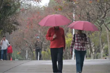 降温+雷雨！中山周末将再迎强对流天气