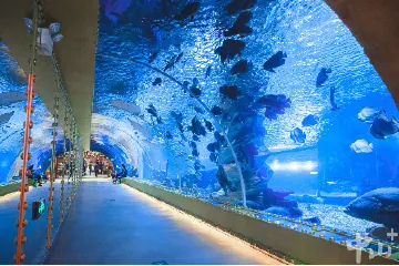 就在兴中广场！中山恒远海立方海洋馆计划4月下旬试营业