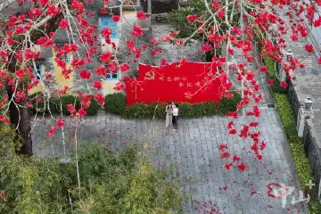 孙中山故居纪念馆“村外木棉花正红”系列活动启动，将持续至3月31日