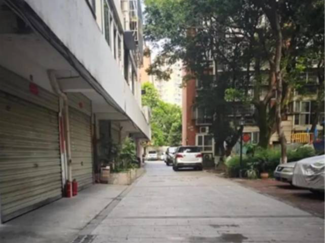 “成都5岁女童在小区被碾亡”案宣判：车主犯过失致人死亡罪，获刑10个月