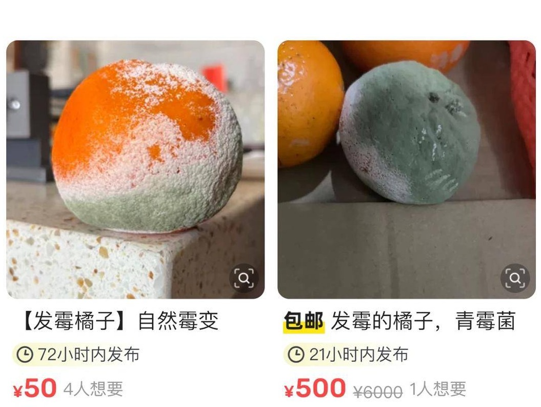 发霉的橘子在二手平台竟标价500元，到底是谁在买？