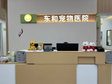 为狗狗看病花了3万多却莫名成了“骗保人”？宠物医保纠纷谁负责 | 有料315