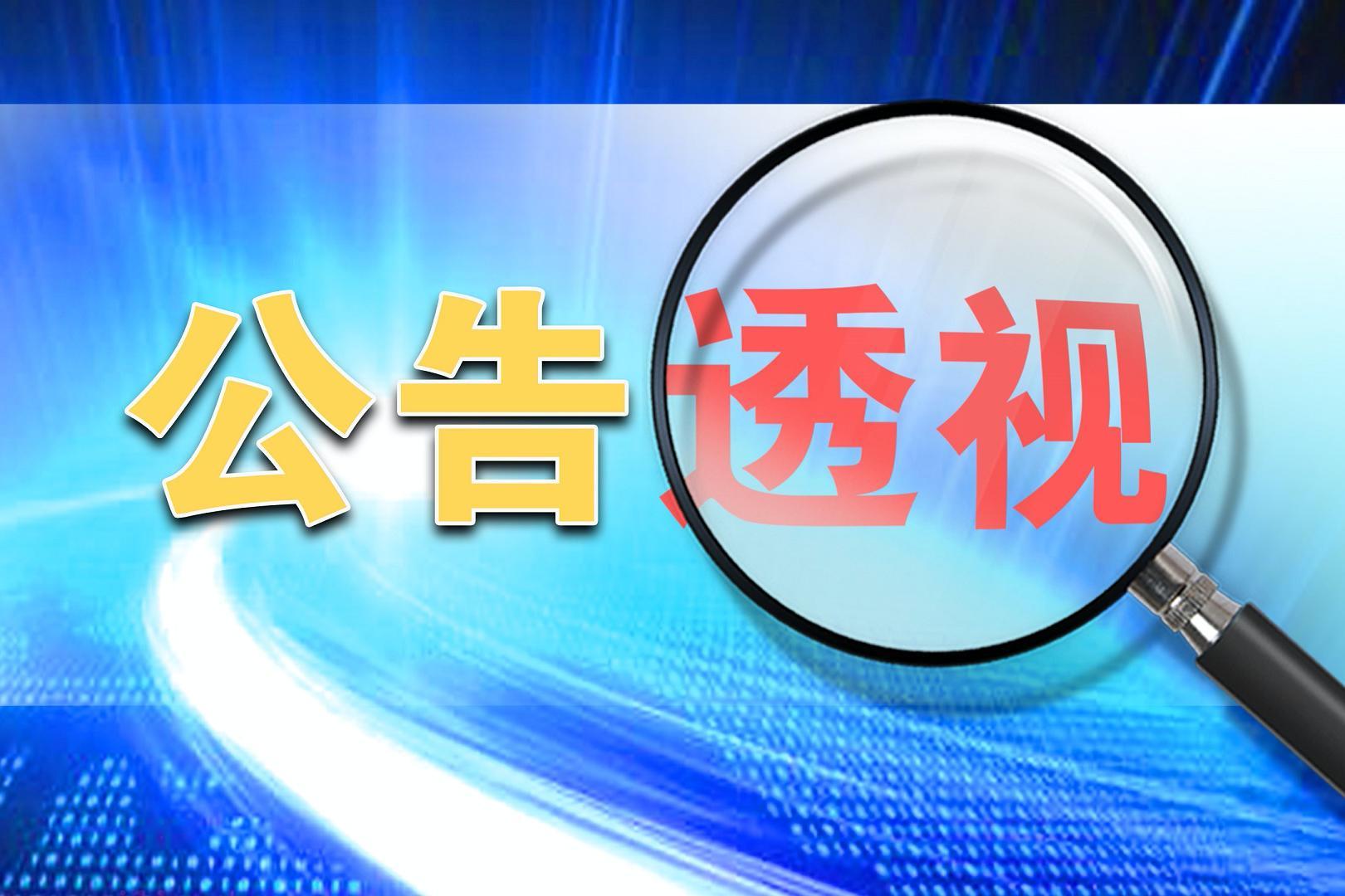 精酿鲜啤销量不及预期，乐惠国际宣布“第二主业”部分募投项目延期
