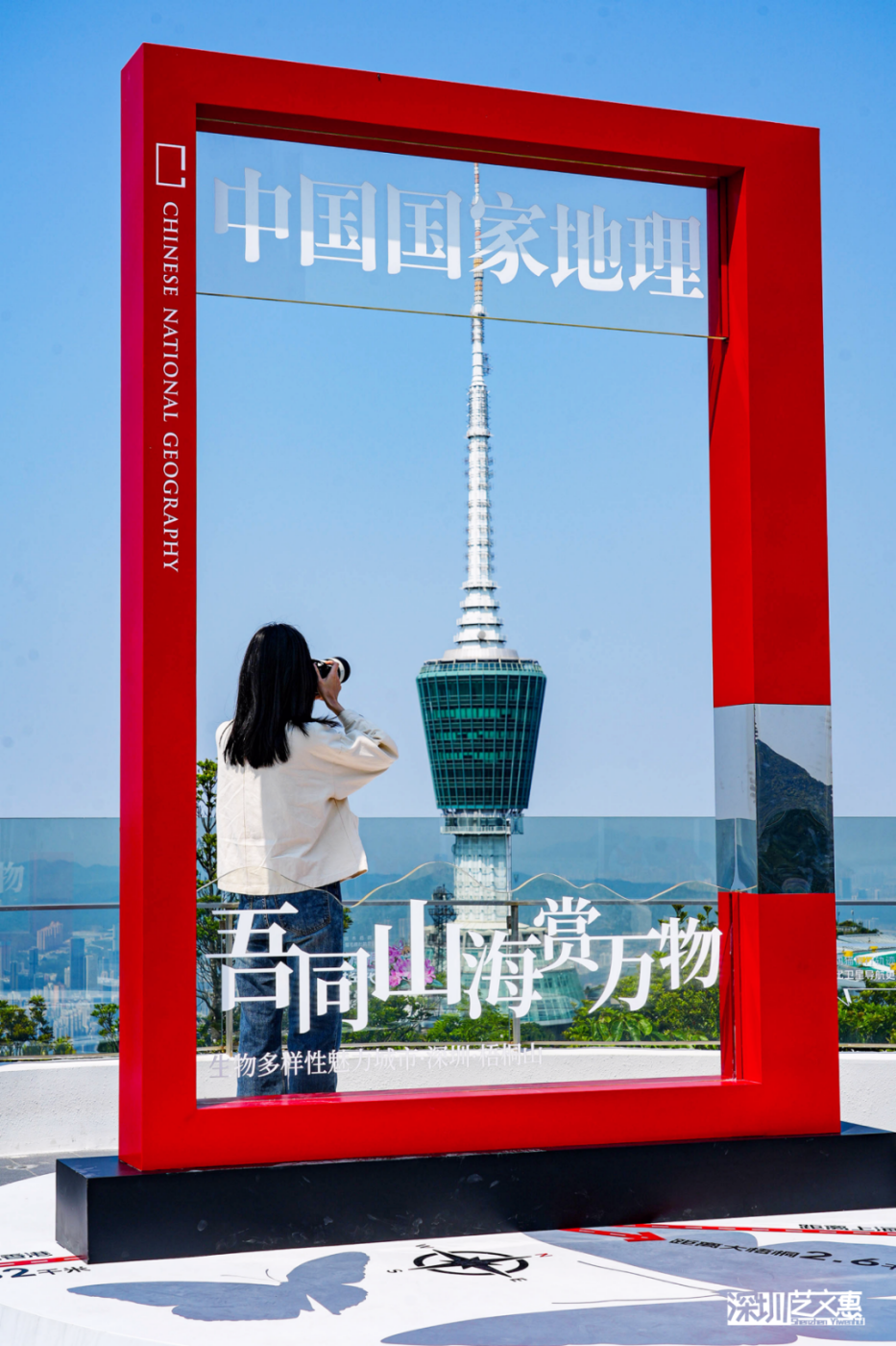 DSC03731.png
