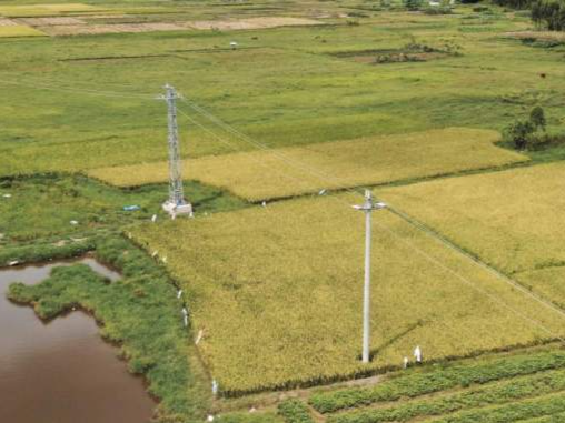 中办、国办印发《逐步把永久基本农田建成高标准农田实施方案》 