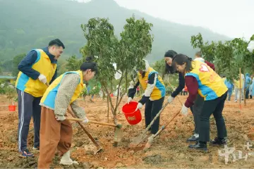 中山、云浮携手共植青年友谊林