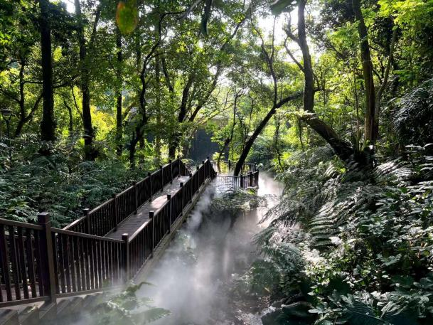 2024年植物园“科普之最”奖项揭晓，深圳仙湖植物园斩获两项殊荣