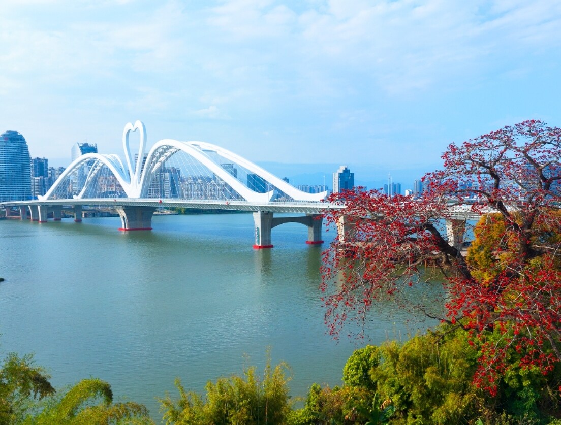 惠州：木棉花开春意浓