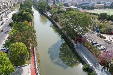 南朗街道：让鱼塘尾水“活”起来，助力养殖户增产增收丨百名干部群众话治水