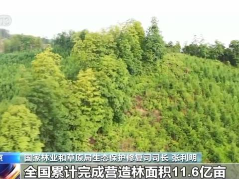 去年完成国土绿化任务超1亿亩，中国成为全球增绿最快最多国家