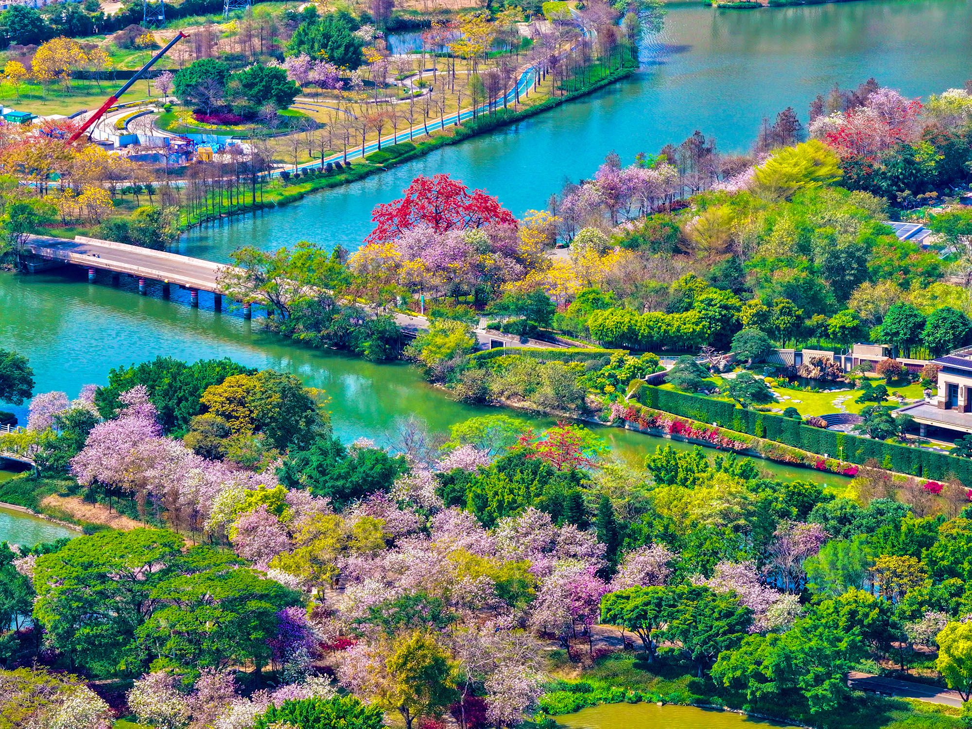 绿美佛山·公园城市丨佛山50公里徒步沿途美景：顺峰山春色满园