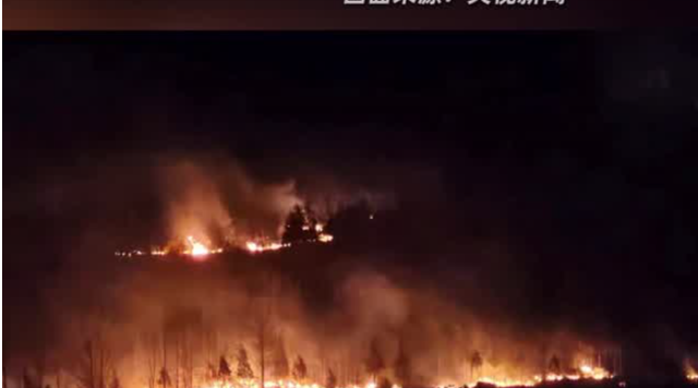 韩国山火致4人死亡，多地进入“灾难状态”
