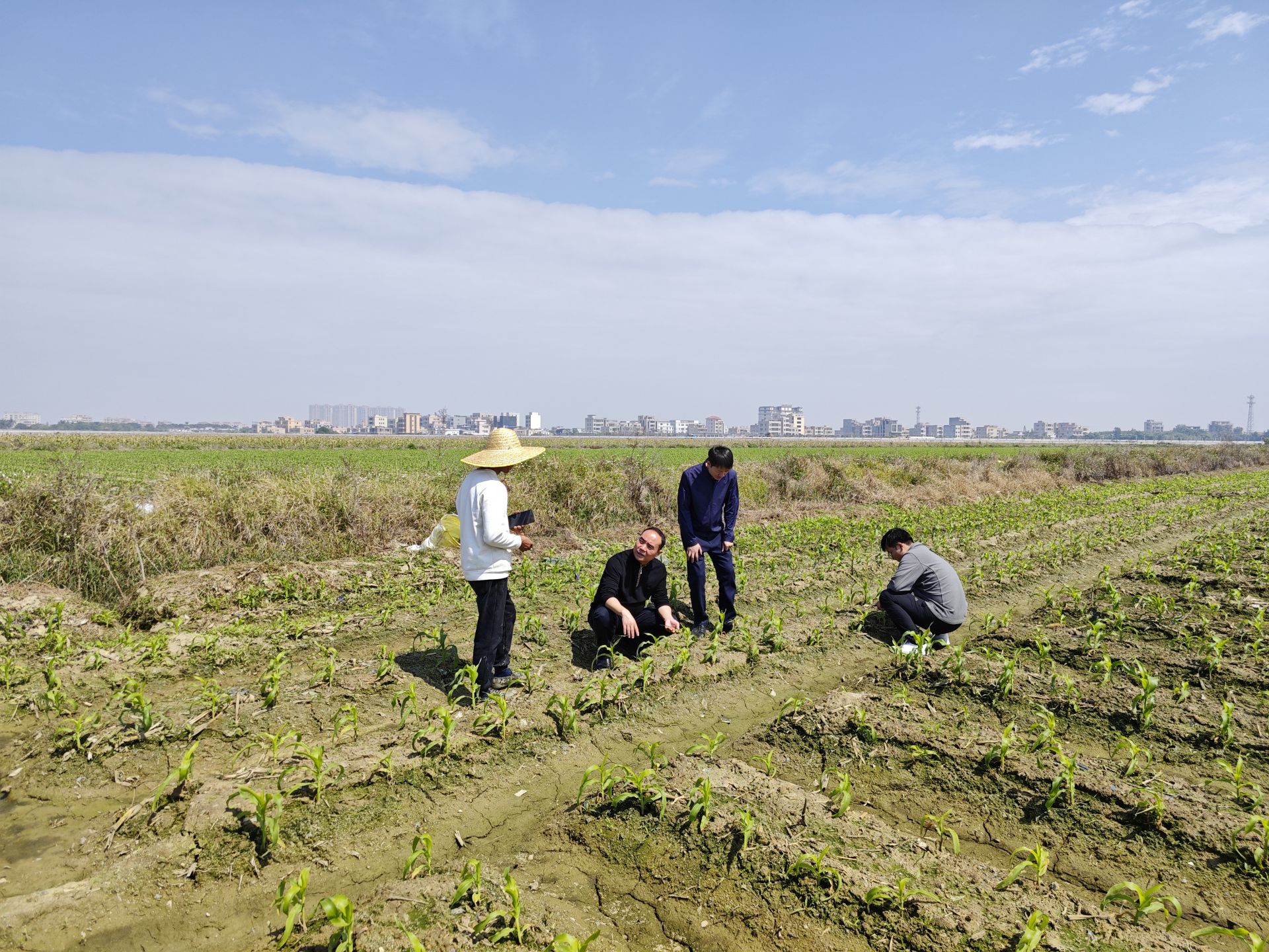良种农技闹春耕，深圳帮扶助力汕头陇田镇农业高质量发展