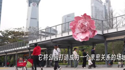 这就是深圳丨不止于“逛”！深圳公园新玩法上线 