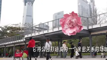 这就是深圳丨不止于“逛”！深圳公园新玩法上线 