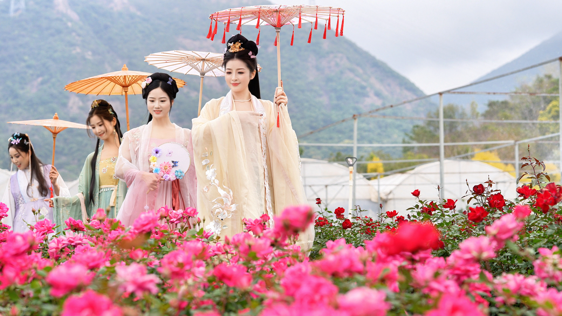 东莞清溪：以花为媒，描绘“美丽经济”的春日图景