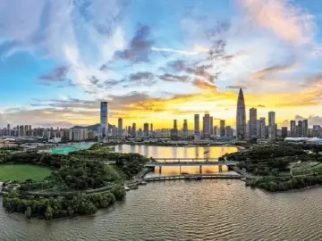 深圳一周丨各区书记区长在忙啥？（3月3日-3月9日）