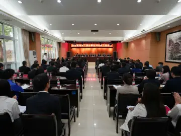 奋进2025年，看光明街道如何积聚发展新势能？
