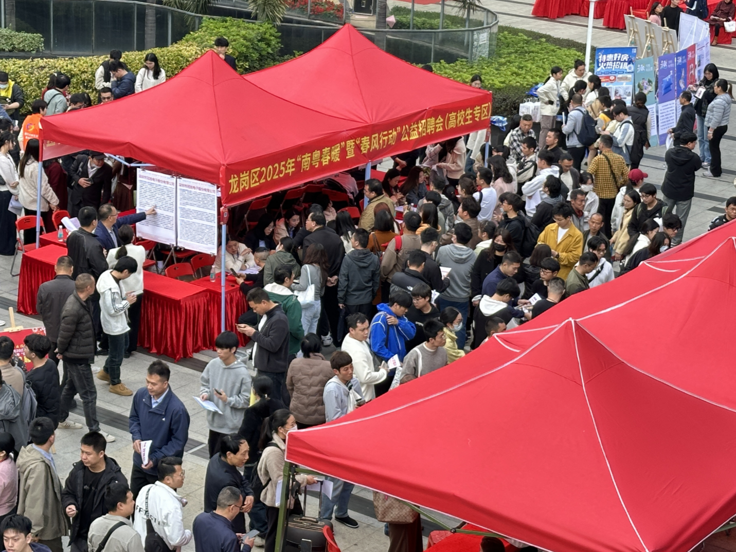 晶报特别报道 | “有意思”里的“新意思” 复盘龙岗多场春风行动招聘会