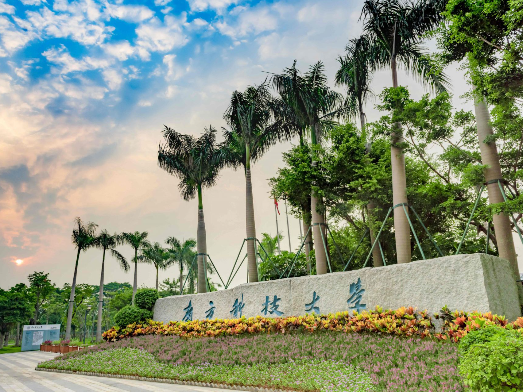 南科大发布2025年综合评价招生简章